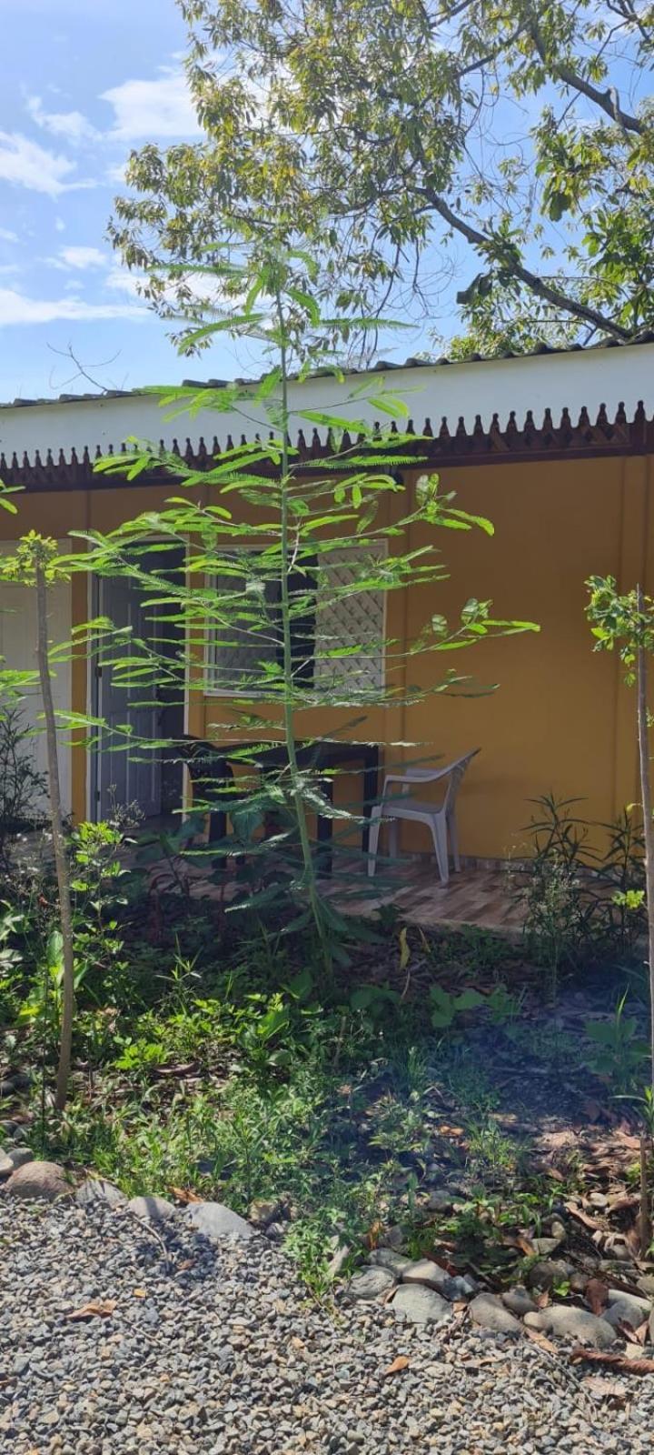 Apartamentos Sol Cahuita Δωμάτιο φωτογραφία